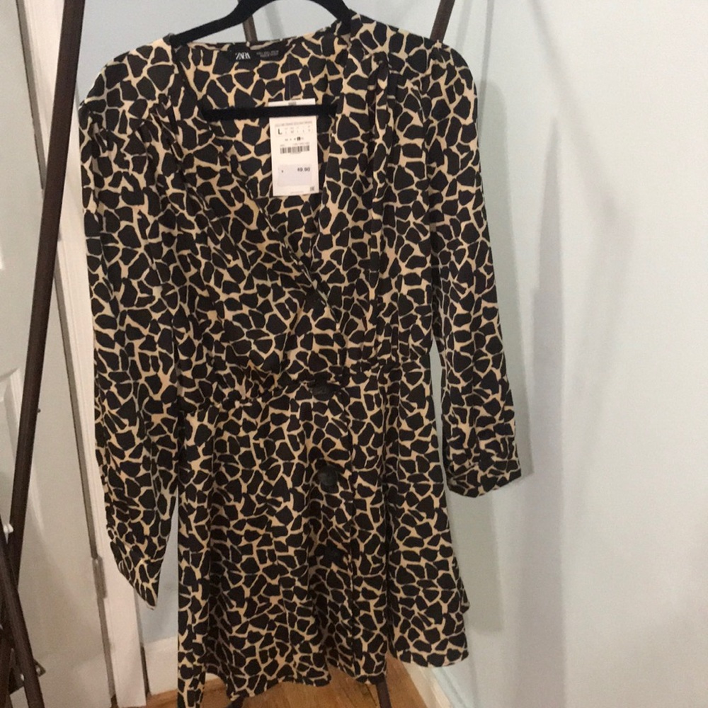 Zara Dress